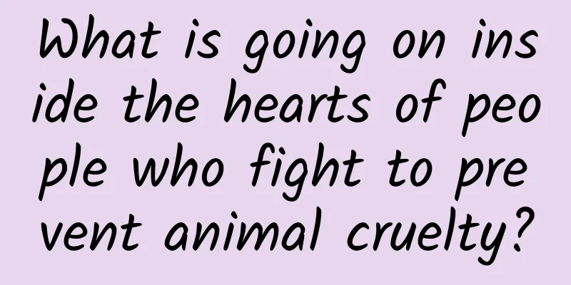 What is going on inside the hearts of people who fight to prevent animal cruelty?