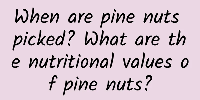 When are pine nuts picked? What are the nutritional values ​​of pine nuts?