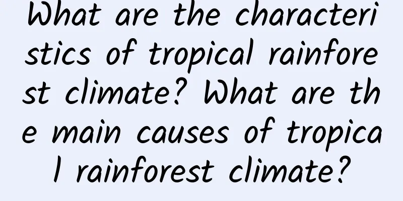 What are the characteristics of tropical rainforest climate? What are the main causes of tropical rainforest climate?