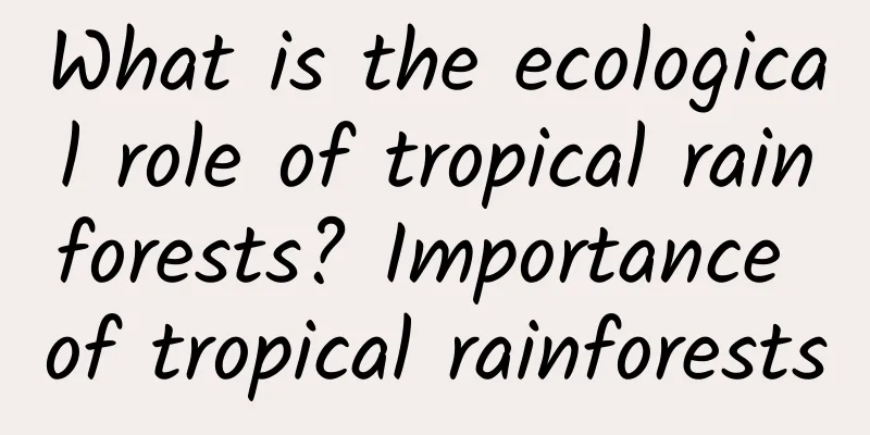 What is the ecological role of tropical rainforests? Importance of tropical rainforests