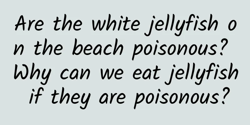 Are the white jellyfish on the beach poisonous? Why can we eat jellyfish if they are poisonous?
