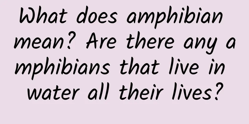What does amphibian mean? Are there any amphibians that live in water all their lives?