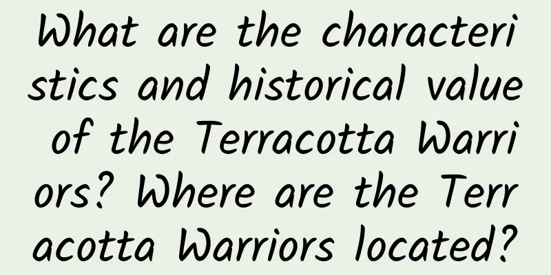 What are the characteristics and historical value of the Terracotta Warriors? Where are the Terracotta Warriors located?