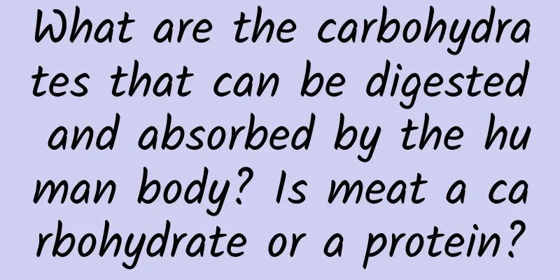 What are the carbohydrates that can be digested and absorbed by the human body? Is meat a carbohydrate or a protein?