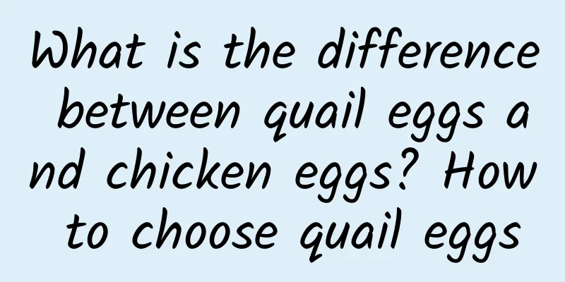 What is the difference between quail eggs and chicken eggs? How to choose quail eggs