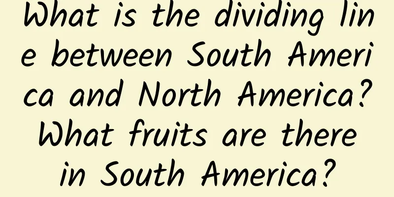 What is the dividing line between South America and North America? What fruits are there in South America?