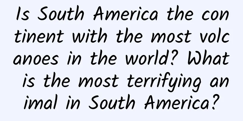 Is South America the continent with the most volcanoes in the world? What is the most terrifying animal in South America?