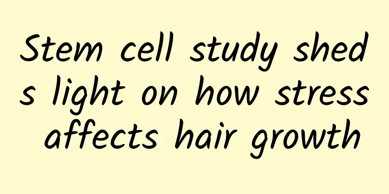 Stem cell study sheds light on how stress affects hair growth