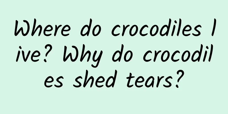 Where do crocodiles live? Why do crocodiles shed tears?