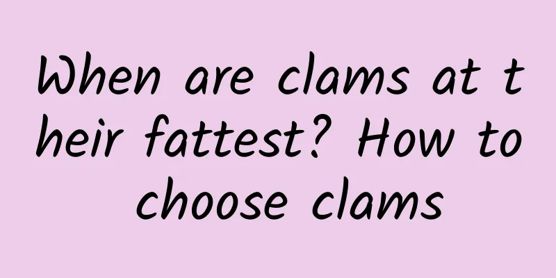 When are clams at their fattest? How to choose clams