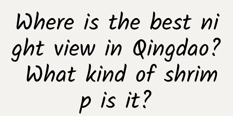 Where is the best night view in Qingdao? What kind of shrimp is it?