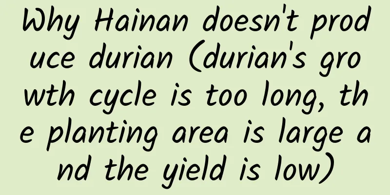 Why Hainan doesn't produce durian (durian's growth cycle is too long, the planting area is large and the yield is low)
