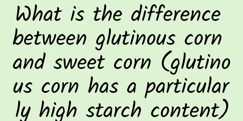 What is the difference between glutinous corn and sweet corn (glutinous corn has a particularly high starch content)
