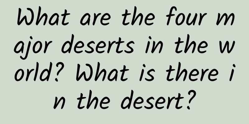 What are the four major deserts in the world? What is there in the desert?