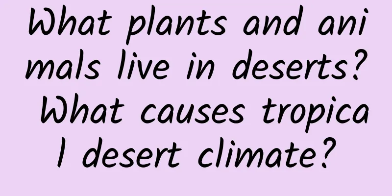 What plants and animals live in deserts? What causes tropical desert climate?