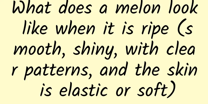 What does a melon look like when it is ripe (smooth, shiny, with clear patterns, and the skin is elastic or soft)