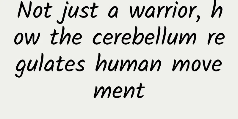 Not just a warrior, how the cerebellum regulates human movement