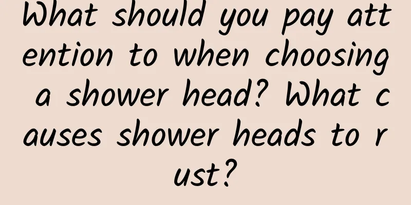 What should you pay attention to when choosing a shower head? What causes shower heads to rust?