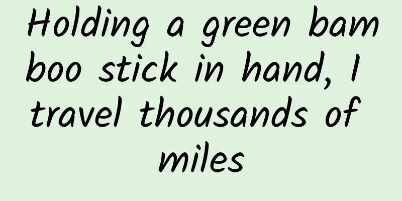Holding a green bamboo stick in hand, I travel thousands of miles
