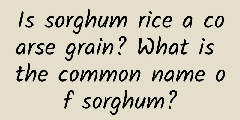 Is sorghum rice a coarse grain? What is the common name of sorghum?