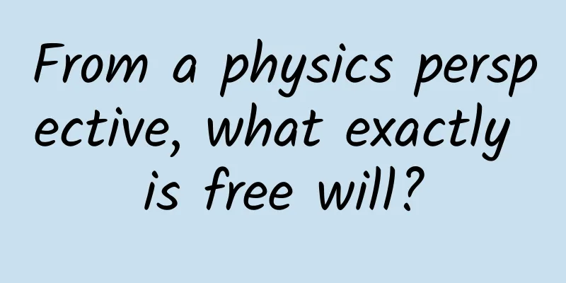 From a physics perspective, what exactly is free will?