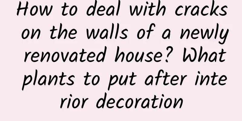 How to deal with cracks on the walls of a newly renovated house? What plants to put after interior decoration