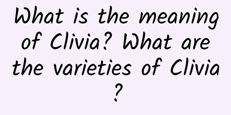 What is the meaning of Clivia? What are the varieties of Clivia?