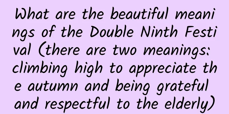 What are the beautiful meanings of the Double Ninth Festival (there are two meanings: climbing high to appreciate the autumn and being grateful and respectful to the elderly)