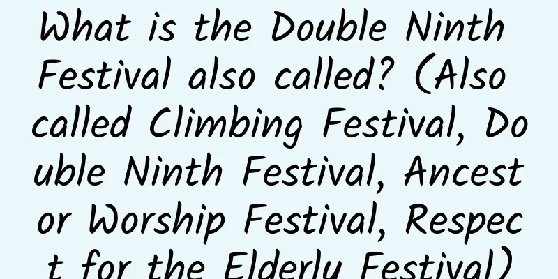 What is the Double Ninth Festival also called? (Also called Climbing Festival, Double Ninth Festival, Ancestor Worship Festival, Respect for the Elderly Festival)