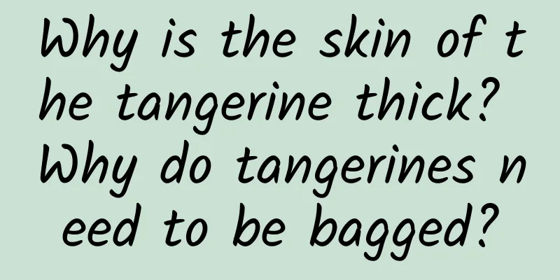 Why is the skin of the tangerine thick? Why do tangerines need to be bagged?