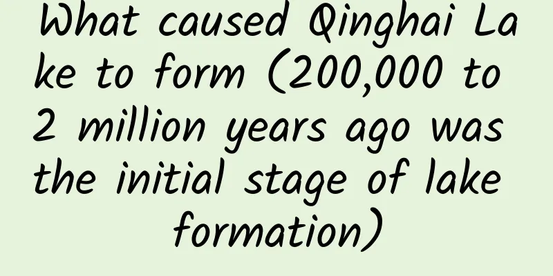 What caused Qinghai Lake to form (200,000 to 2 million years ago was the initial stage of lake formation)