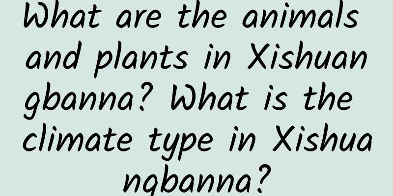 What are the animals and plants in Xishuangbanna? What is the climate type in Xishuangbanna?