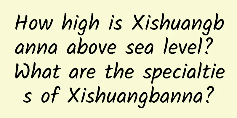 How high is Xishuangbanna above sea level? What are the specialties of Xishuangbanna?