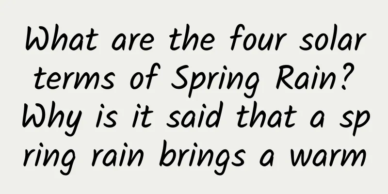 What are the four solar terms of Spring Rain? Why is it said that a spring rain brings a warm