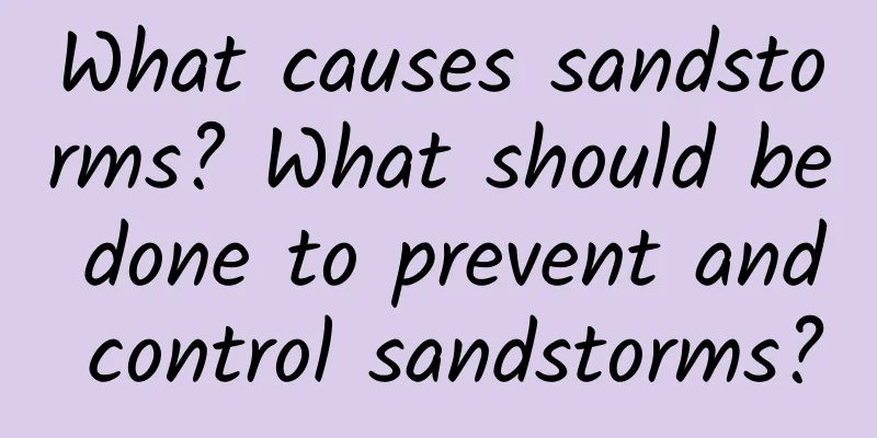 What causes sandstorms? What should be done to prevent and control sandstorms?
