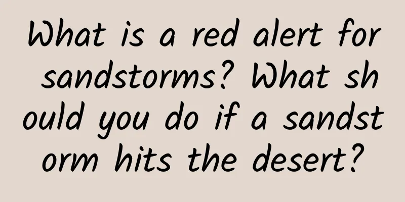 What is a red alert for sandstorms? What should you do if a sandstorm hits the desert?