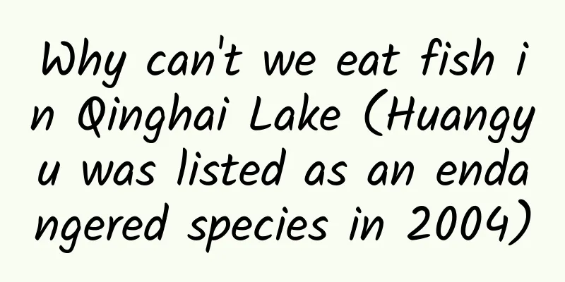 Why can't we eat fish in Qinghai Lake (Huangyu was listed as an endangered species in 2004)
