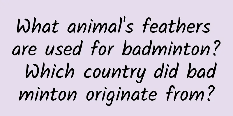 What animal's feathers are used for badminton? Which country did badminton originate from?