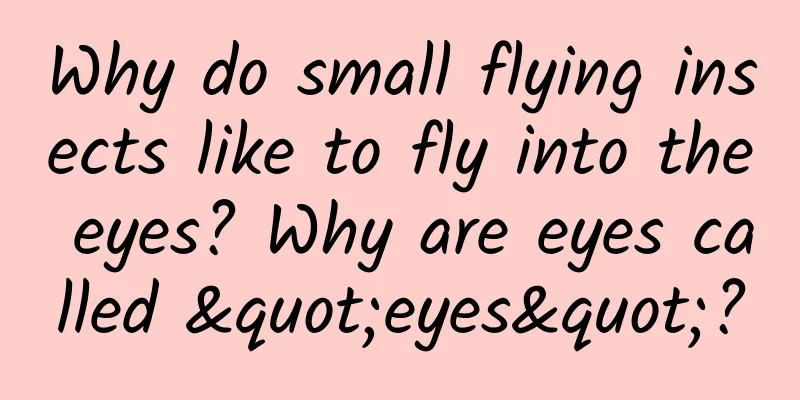 Why do small flying insects like to fly into the eyes? Why are eyes called "eyes"?