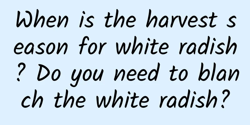 When is the harvest season for white radish? Do you need to blanch the white radish?