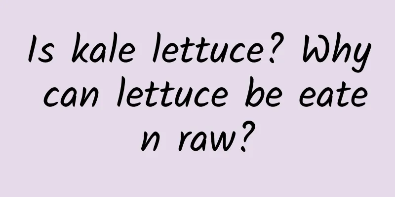 Is kale lettuce? Why can lettuce be eaten raw?