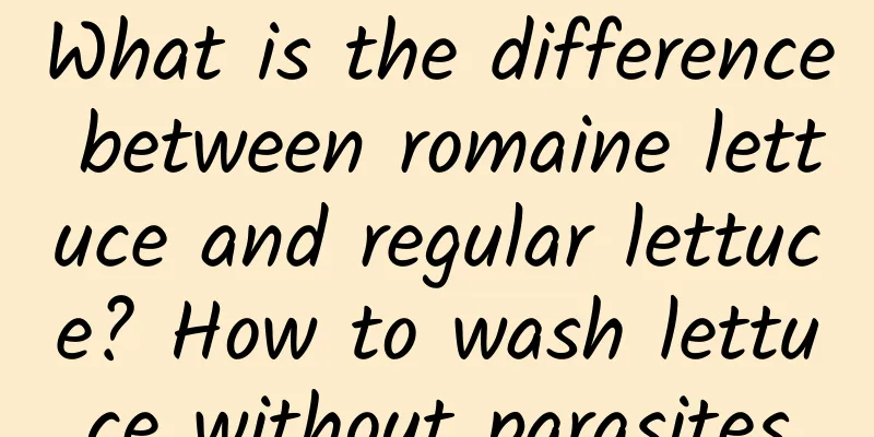 What is the difference between romaine lettuce and regular lettuce? How to wash lettuce without parasites