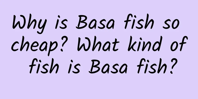 Why is Basa fish so cheap? What kind of fish is Basa fish?