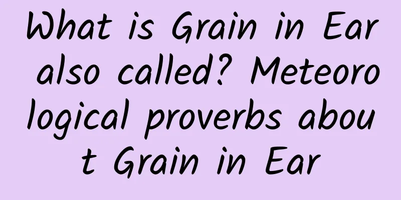 What is Grain in Ear also called? Meteorological proverbs about Grain in Ear