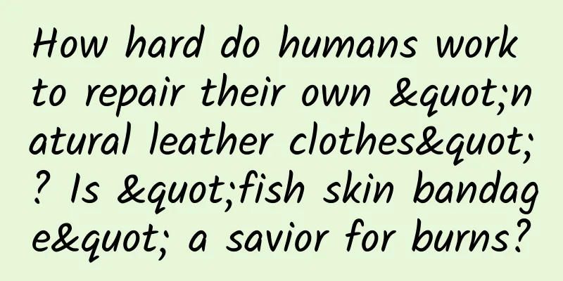 How hard do humans work to repair their own "natural leather clothes"? Is "fish skin bandage" a savior for burns?