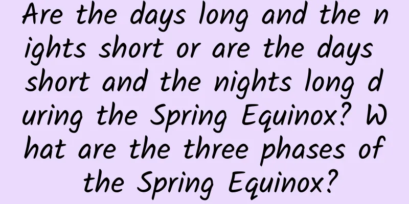 Are the days long and the nights short or are the days short and the nights long during the Spring Equinox? What are the three phases of the Spring Equinox?