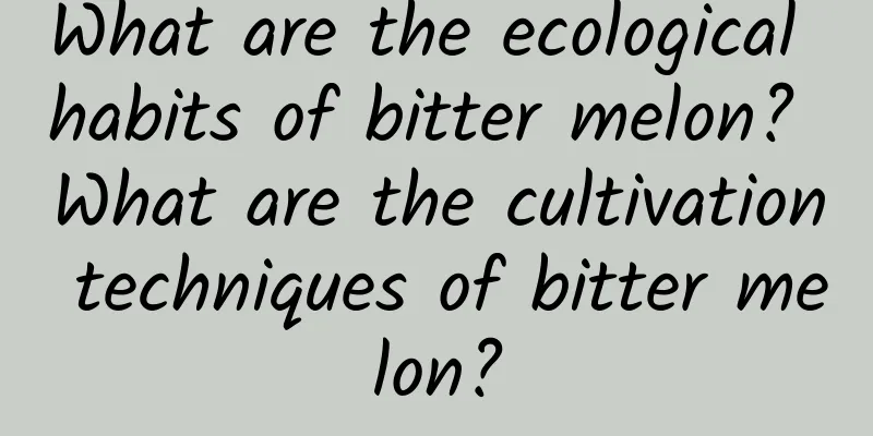 What are the ecological habits of bitter melon? What are the cultivation techniques of bitter melon?