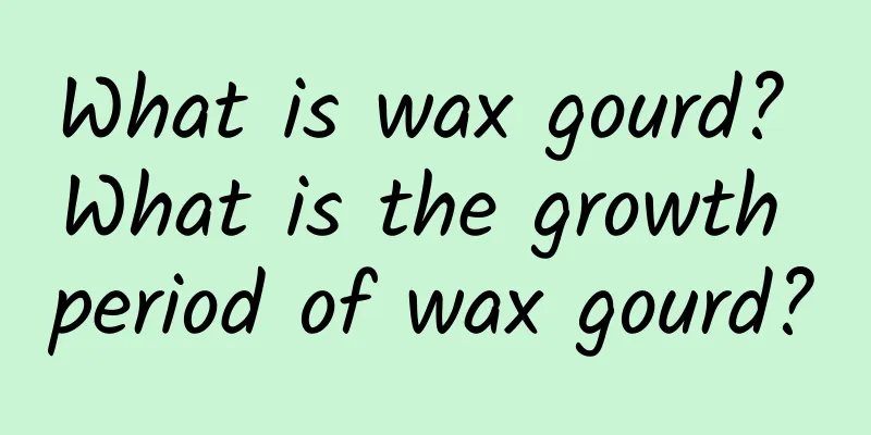 What is wax gourd? What is the growth period of wax gourd?