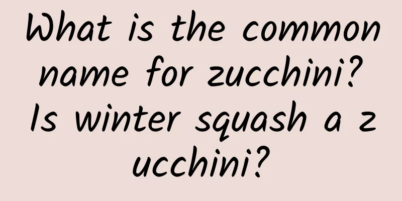 What is the common name for zucchini? Is winter squash a zucchini?