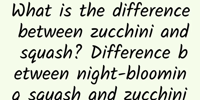 What is the difference between zucchini and squash? Difference between night-blooming squash and zucchini